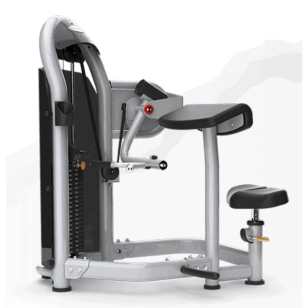 Aura Arm Curl