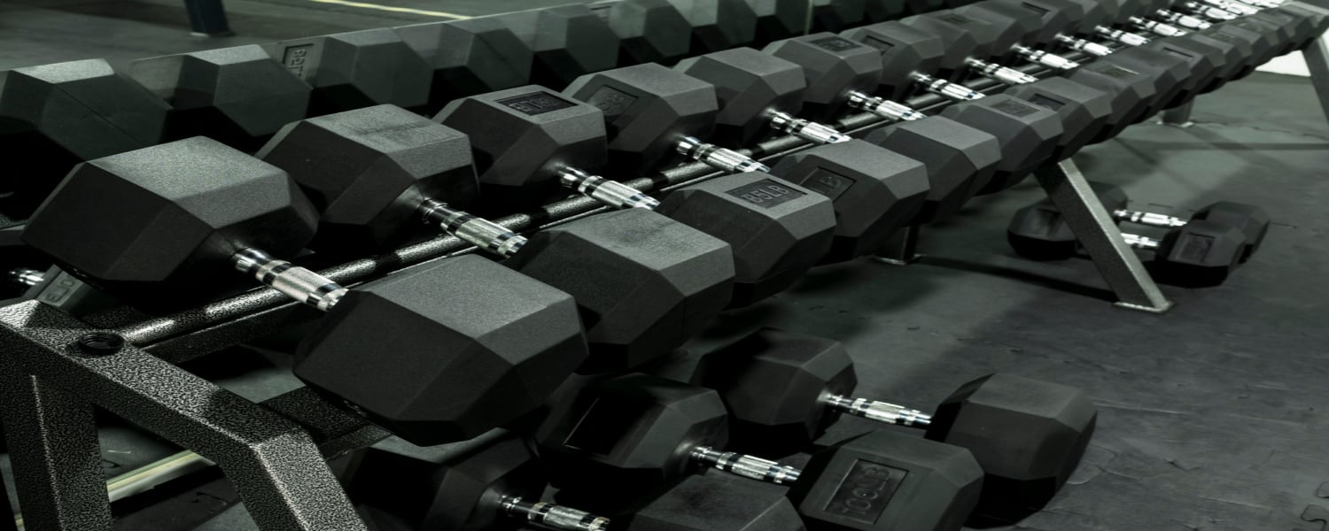 Used Rubber Hex Dumbbells Chicago